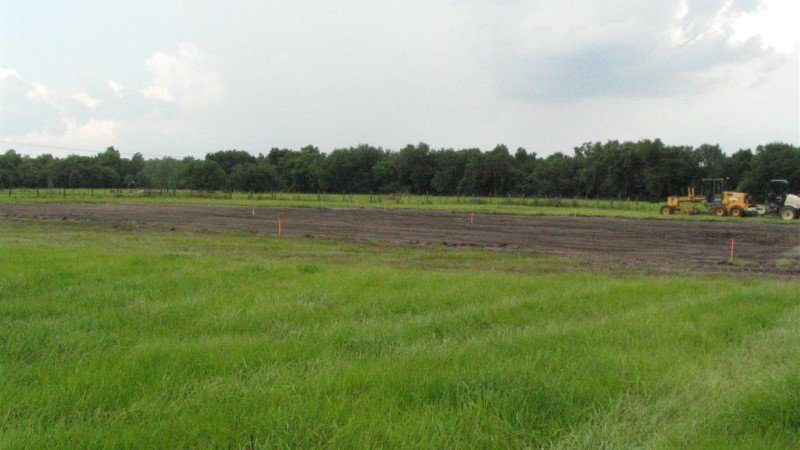 p_000293.jpg